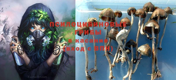 тгк Баксан